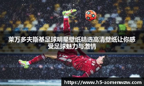 莱万多夫斯基足球明星壁纸精选高清壁纸让你感受足球魅力与激情